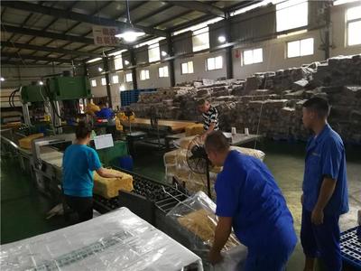 曼列科技 以技術創新引領2018年橡膠加工效率新飛躍